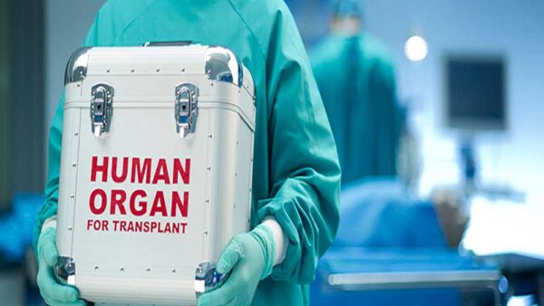 Doctor holding a storage box for organ transplant