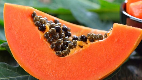 A slice of fresh papaya fruit