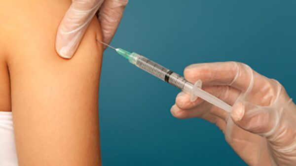 Hepatitis B immune globulin vaccine